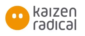 Kaizen Radical